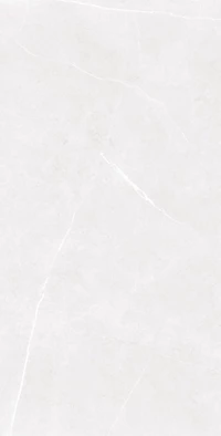 Керамогранит Usak Seramik Swindon Grey Polished 60x120