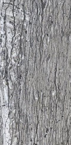 Интерьерная панель Travertine NT-1.4.5 Graphite глянцевый