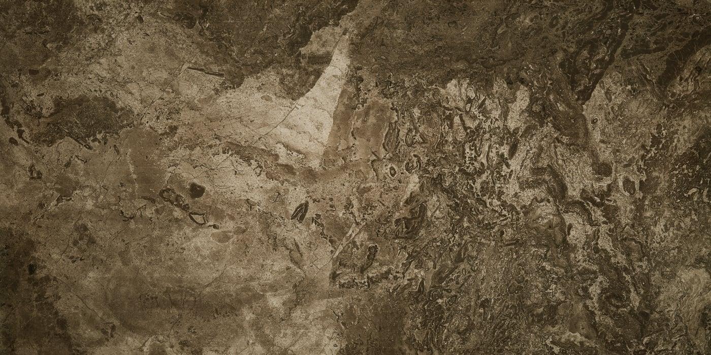 Ступен Seranit Step Fossil Brown Rectiefied Lapatto 1200x325