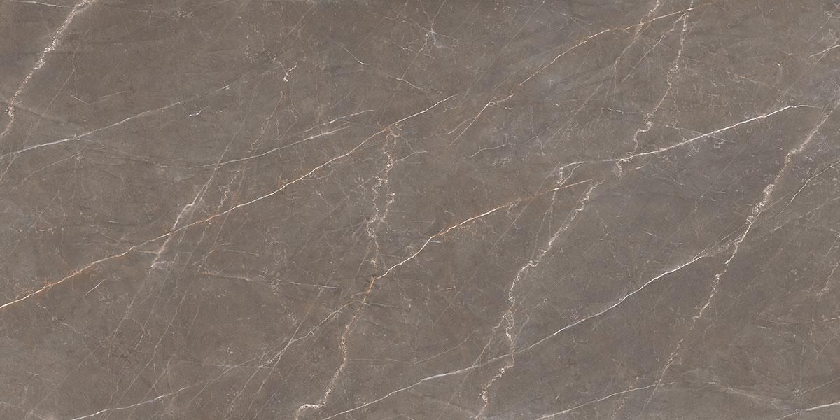 MARBLE BROWN SLF.AVA.BA.LC 160х320