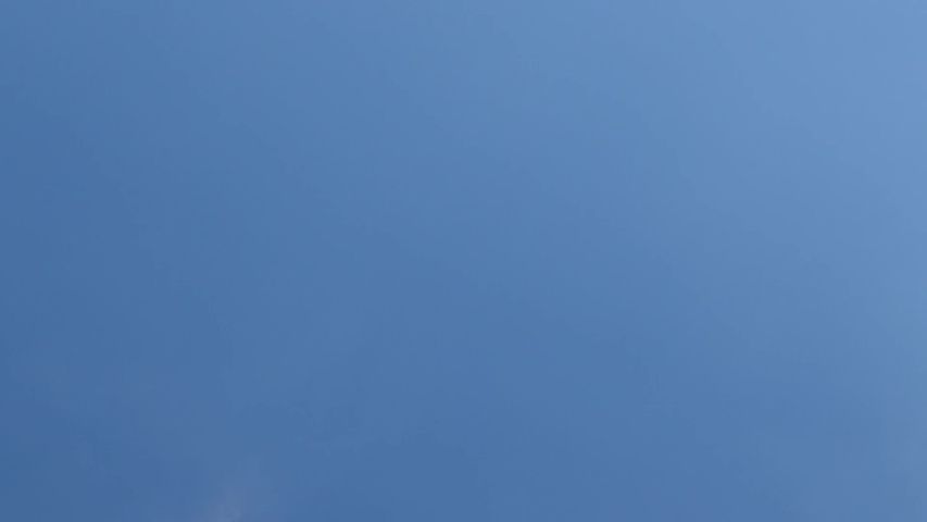 Керамогранит CF012MR Декор синий 1200х600 матовая