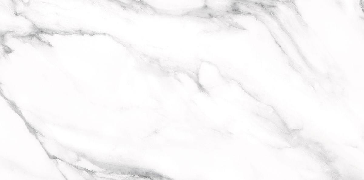 Palacio MAJESTIC WHITE 60x120 POLISHED