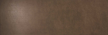 METAL DL.ST.GL.NT 100х300