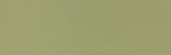 COLOR CTL.BS.ML.NT 100х300