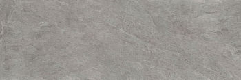 SLATE SLC.SW.SL.NT 100х300