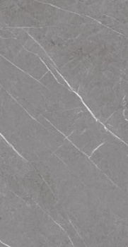 Ancient Ceramic Slate Pietra  AC20282 1200х2800