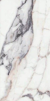 Керамогранит ORIGINES DE REX ARGENT MAT 6MM 60X120
