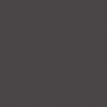 Керамогранит Rainbow RW 034 600x600 Неполированный