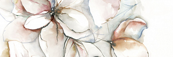 WALLPAPERS DC.WW.LTB.NT 100х300