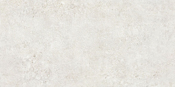 Керамогранит NT Ceramic NTT9501 120x60