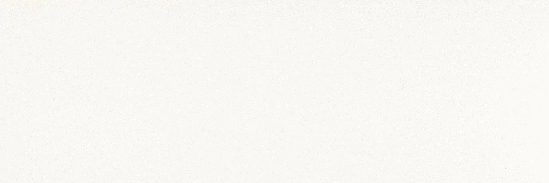 COLOR CC.CL.SN.NT 100х300