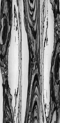 Интерьерная панель Lunar Diospyros NT-18.3.1 Ink матовый